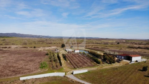 Negócio para Venda em Ladoeiro