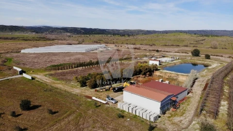 Negócio para Venda em Ladoeiro