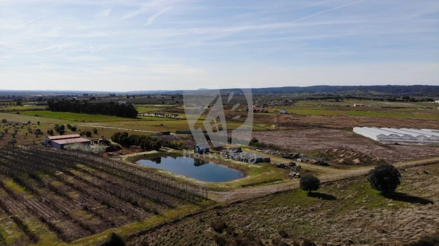 Negócio para Venda em Ladoeiro Foto 37