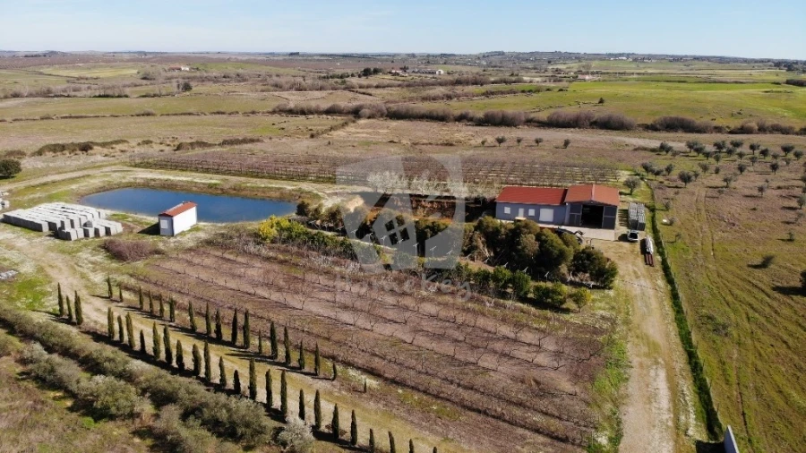 Negócio para Venda em Ladoeiro Foto 32