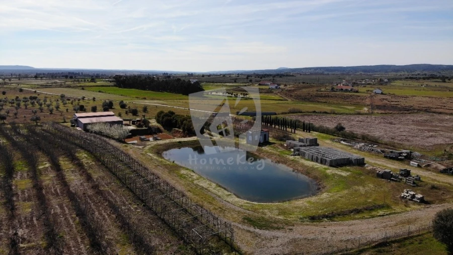 Negócio para Venda em Ladoeiro Foto 36