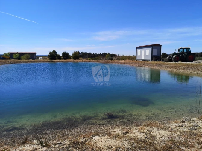 Negócio para Venda em Ladoeiro Foto 4