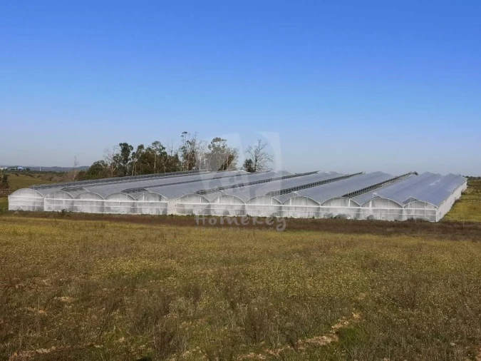 Negócio para Venda em Ladoeiro Foto 21