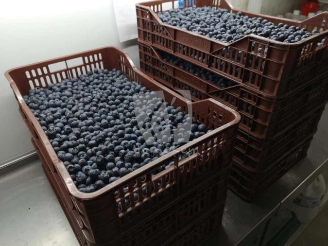 Negócio para Venda em Ladoeiro Foto 27