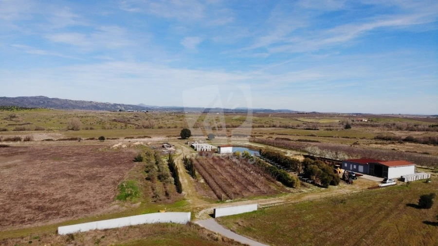 Negócio para Venda em Ladoeiro Foto 30