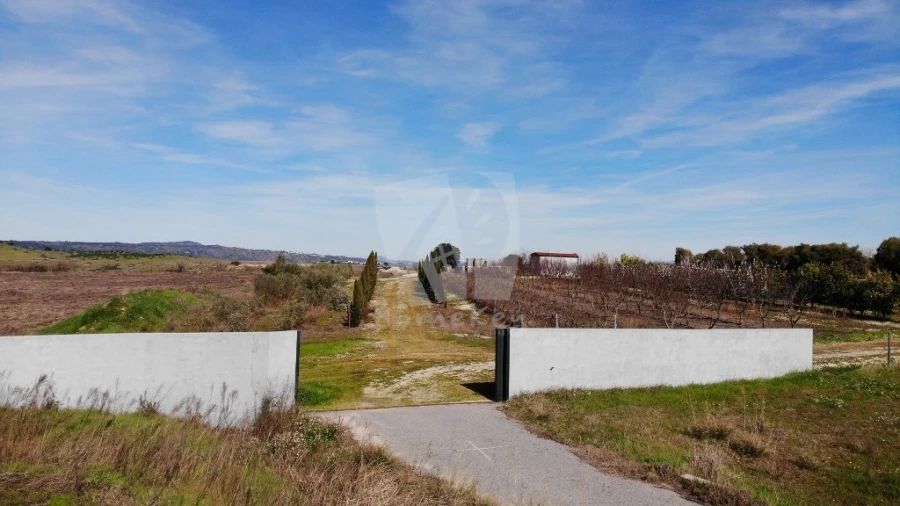 Negócio para Venda em Ladoeiro Foto 29