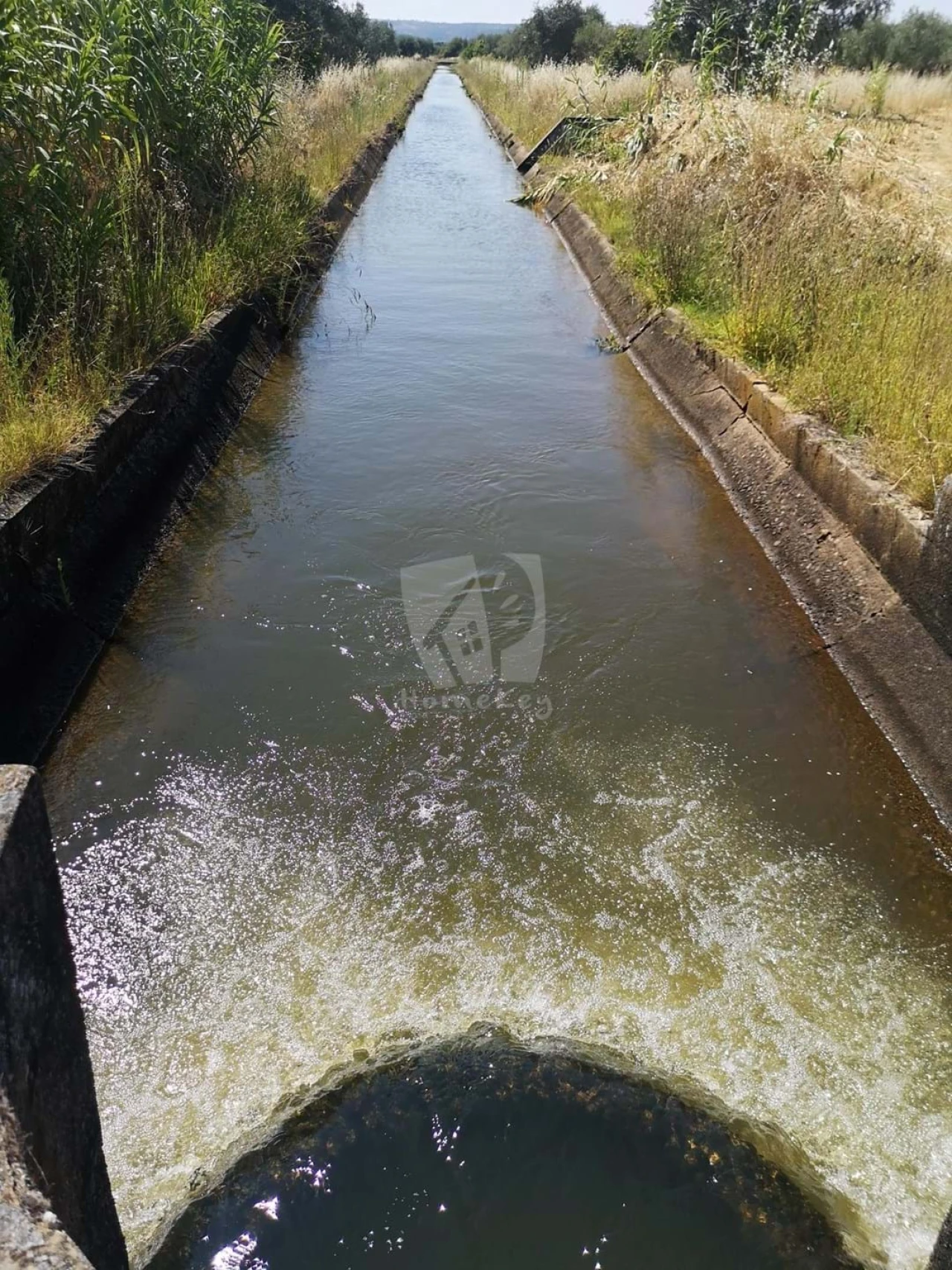 Negócio para Venda em Ladoeiro Foto 7