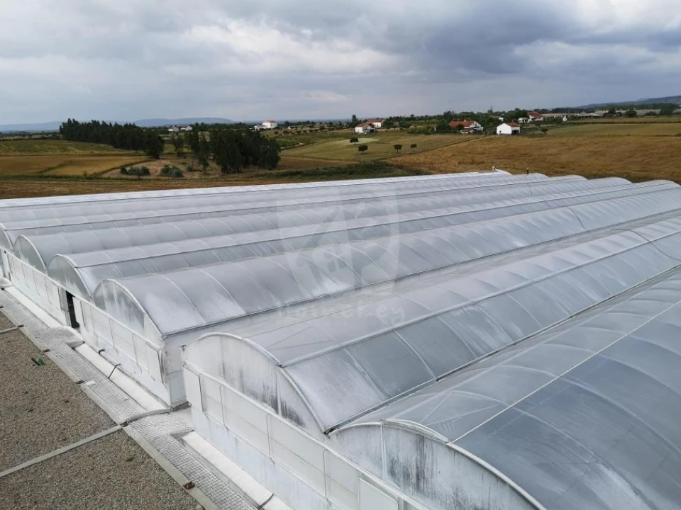 Negócio para Venda em Ladoeiro Foto 23