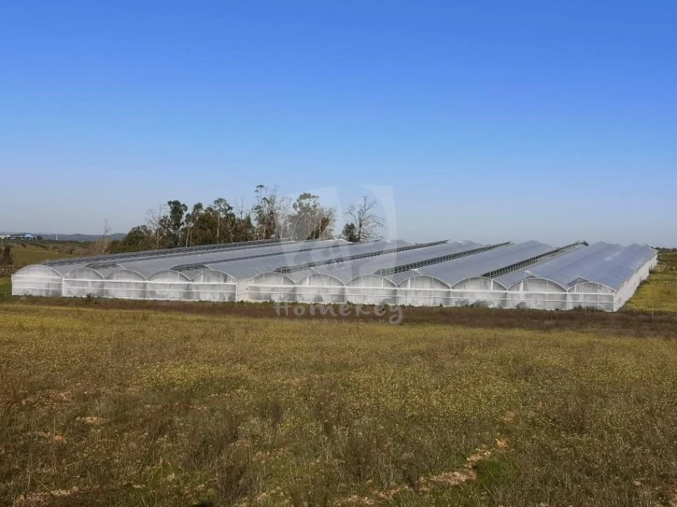 Negócio para Venda em Ladoeiro Foto 21