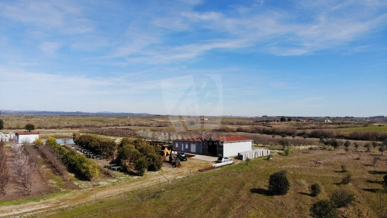 Negócio para Venda em Ladoeiro Foto 38