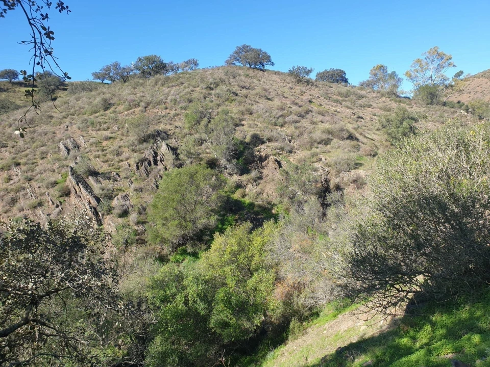 Terreno para Venda em Odeleite Foto 6