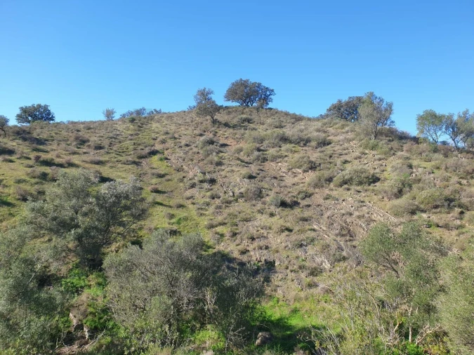 Terreno para Venda em Odeleite Foto 2