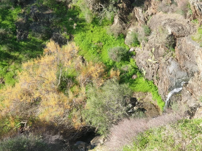 Terreno para Venda em Odeleite Foto 5