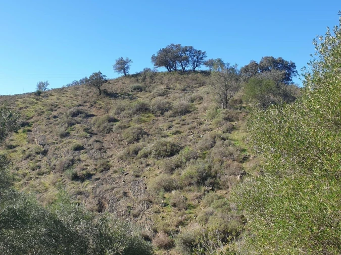 Terreno para Venda em Odeleite Foto 1