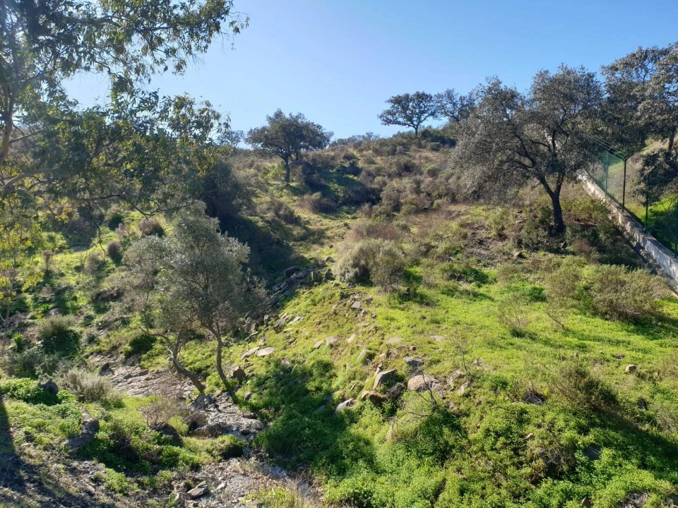 Terreno para Venda em Odeleite Foto 11