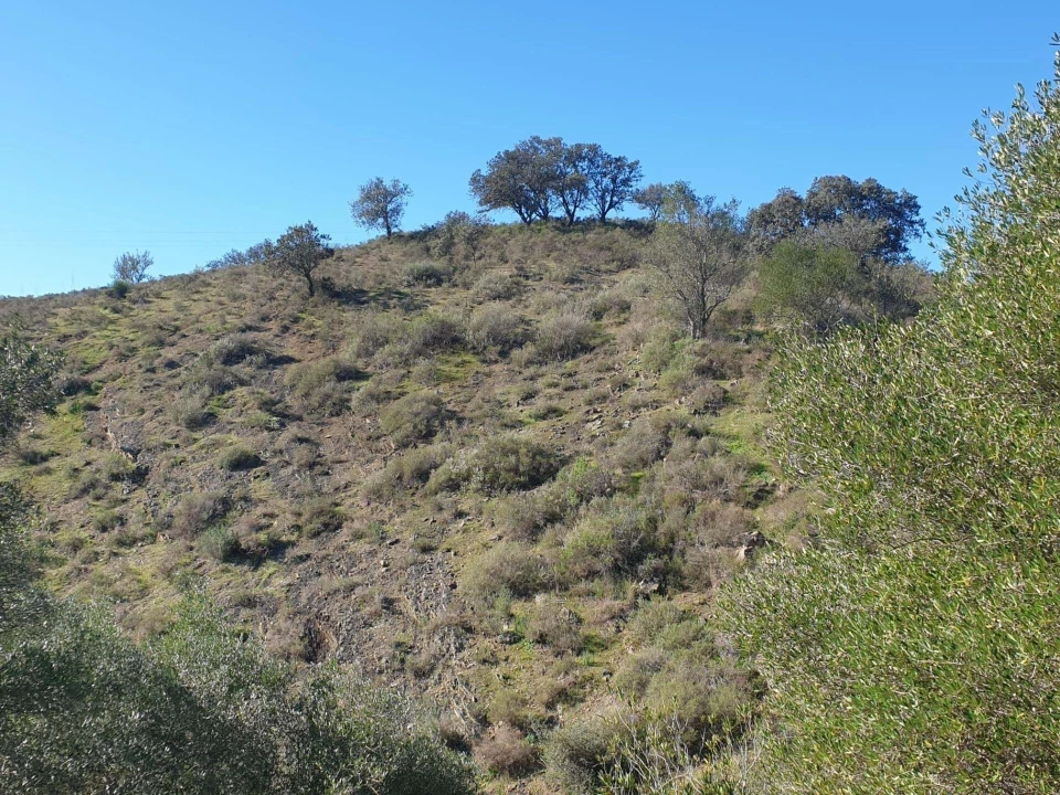 Terreno para Venda em Odeleite Foto 1