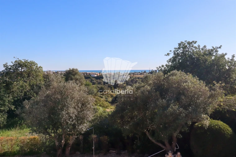 Moradia T3 para Venda em Lagoa e Carvoeiro Foto 35