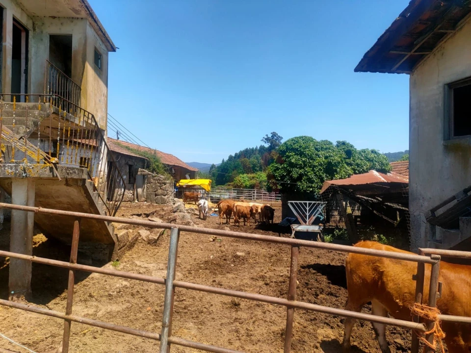 Quinta T4 para Venda em Nevogilde Foto 7