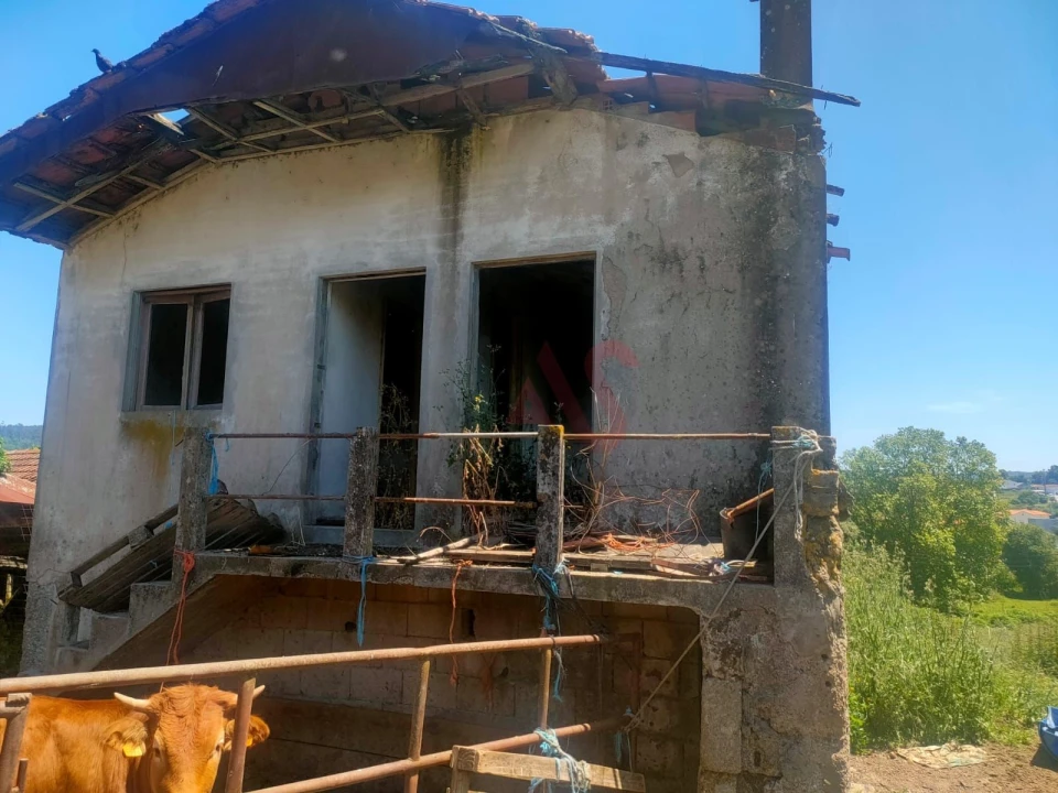 Quinta T4 para Venda em Nevogilde Foto 6