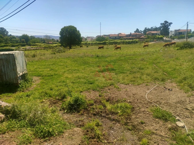 Quinta T4 para Venda em Nevogilde Foto 3