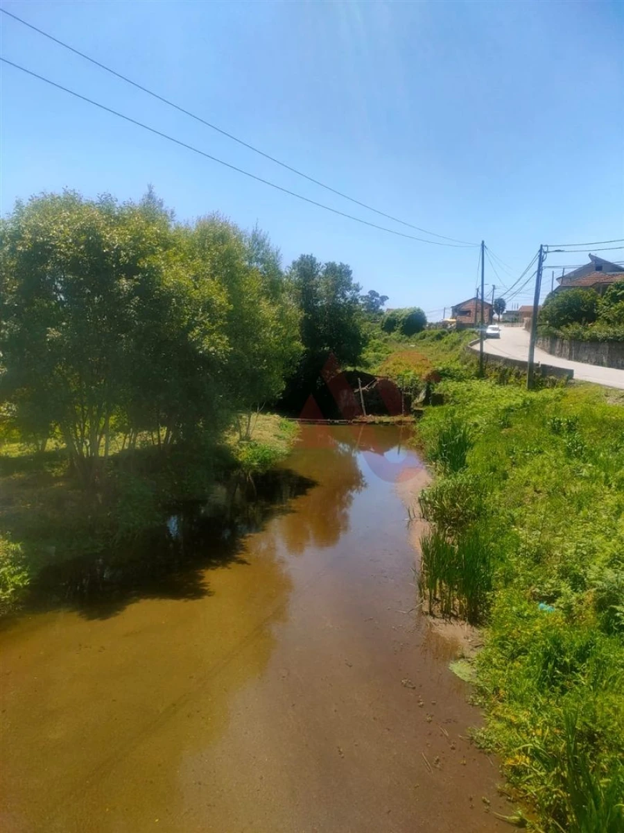 Quinta T4 para Venda em Nevogilde Foto 8