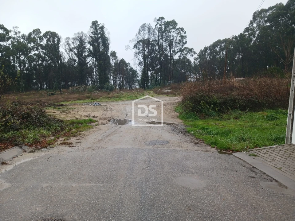 Terreno para Venda em Duas Igrejas Foto 3