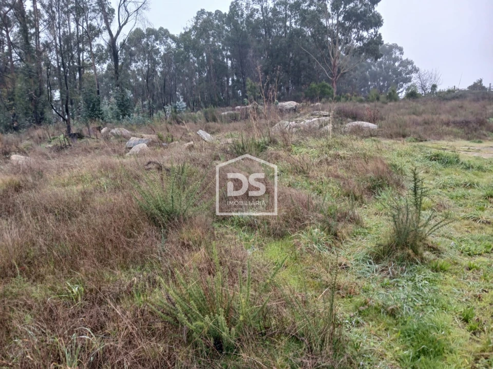 Terreno para Venda em Duas Igrejas Foto 5