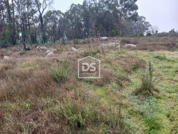Terreno para Venda em Duas Igrejas Foto 5