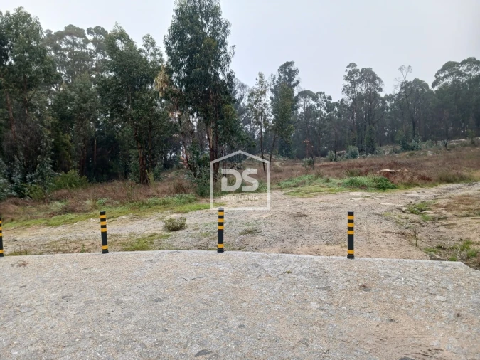 Terreno para Venda em Duas Igrejas Foto 6