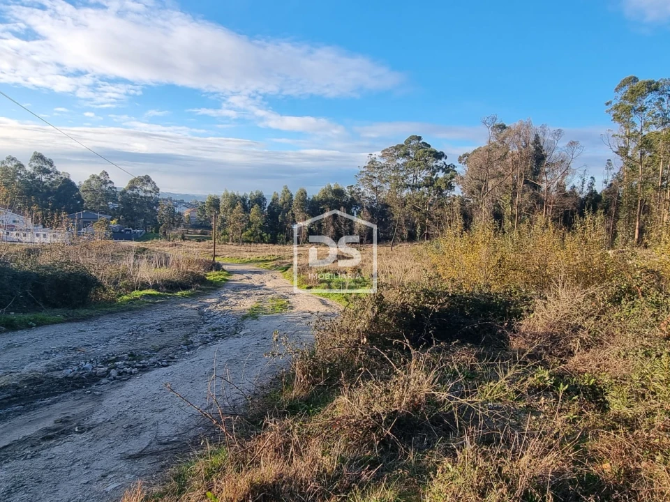 Terreno para Venda em Duas Igrejas Foto 8