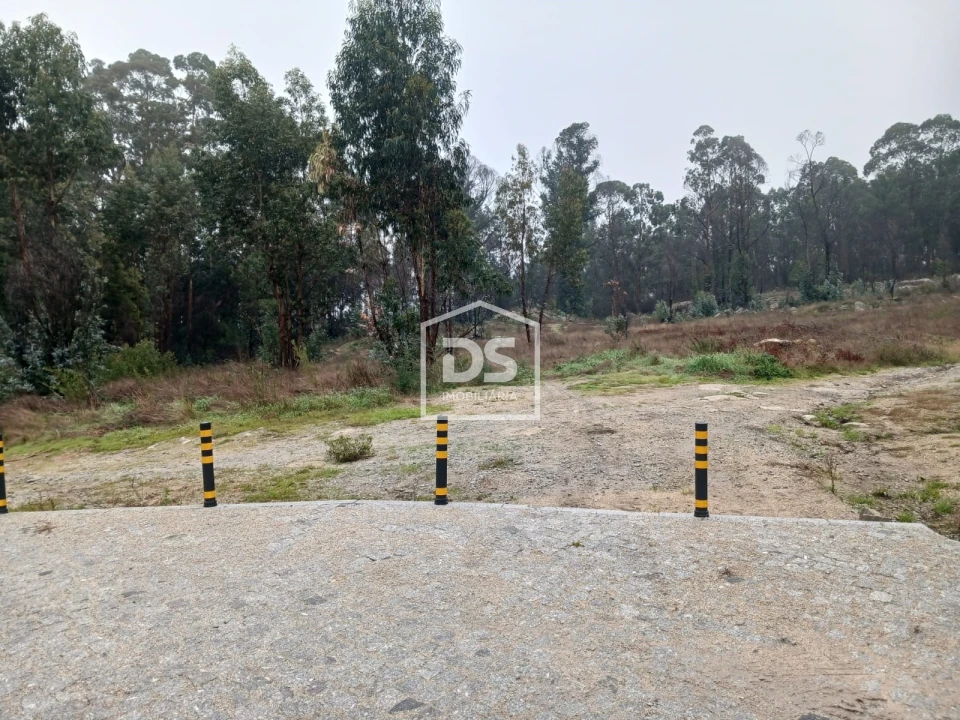 Terreno para Venda em Duas Igrejas Foto 6