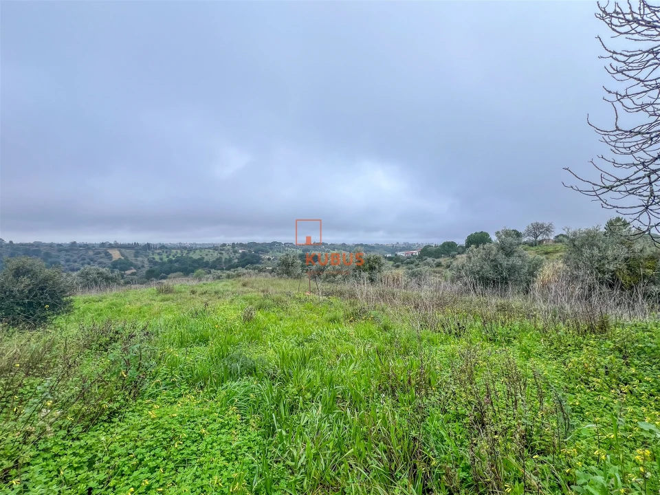Moradia T3 para Venda em Brogueira, Parceiros de Igreja e Alcorochel Foto 13