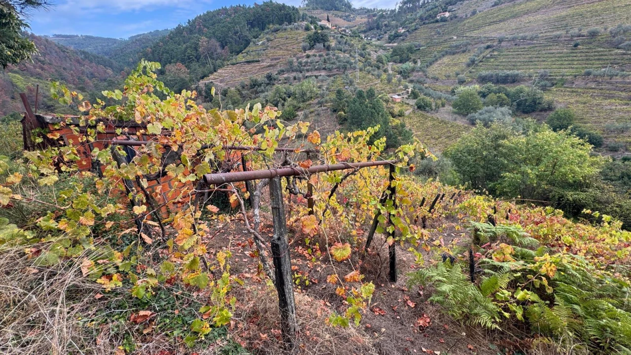 Moradia T3 para Venda em Sedielos Foto 3