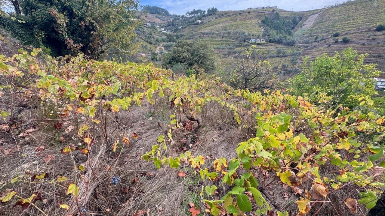 Moradia T3 para Venda em Sedielos Foto 9