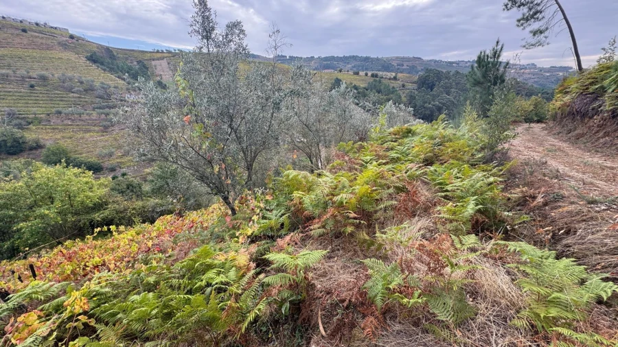 Moradia T3 para Venda em Sedielos Foto 1