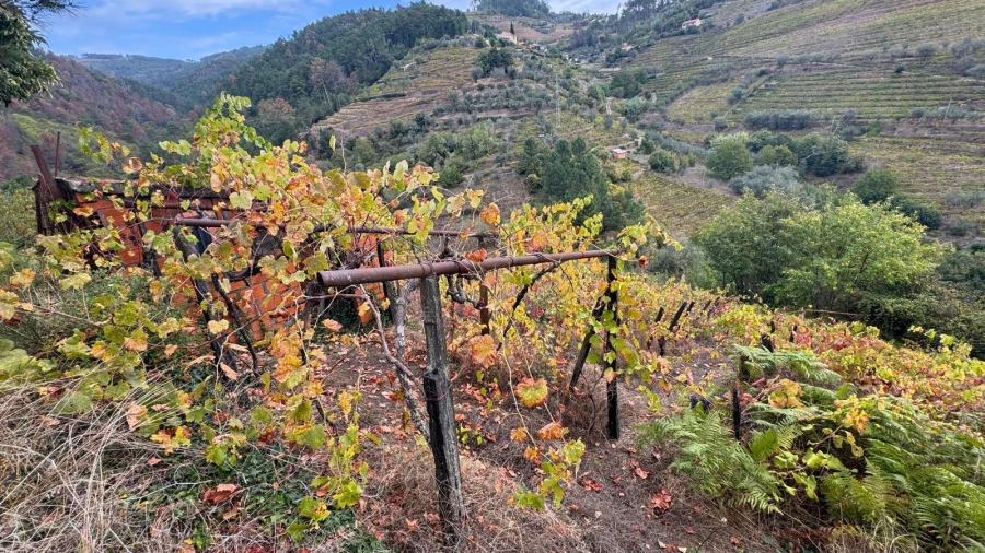 Moradia T3 para Venda em Sedielos Foto 3