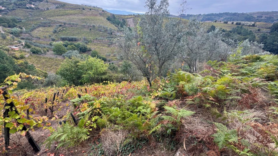 Moradia T3 para Venda em Sedielos Foto 4