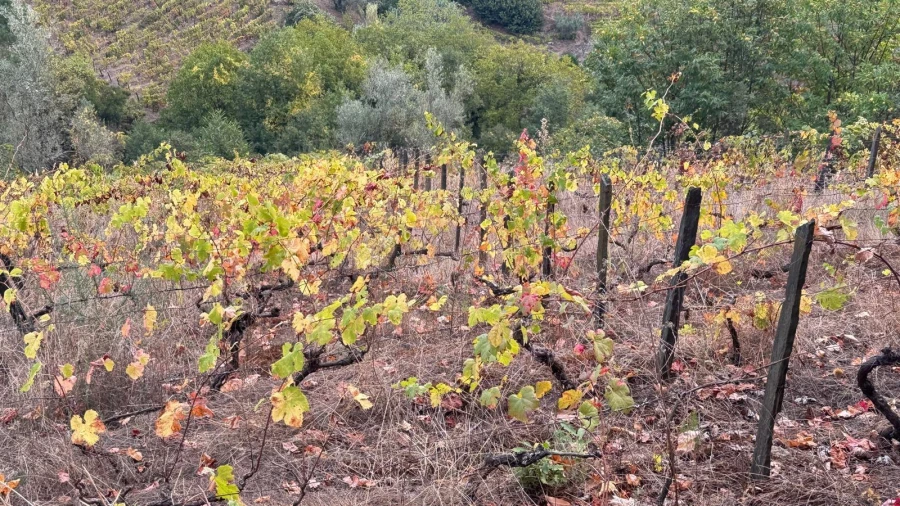 Moradia T3 para Venda em Sedielos Foto 6