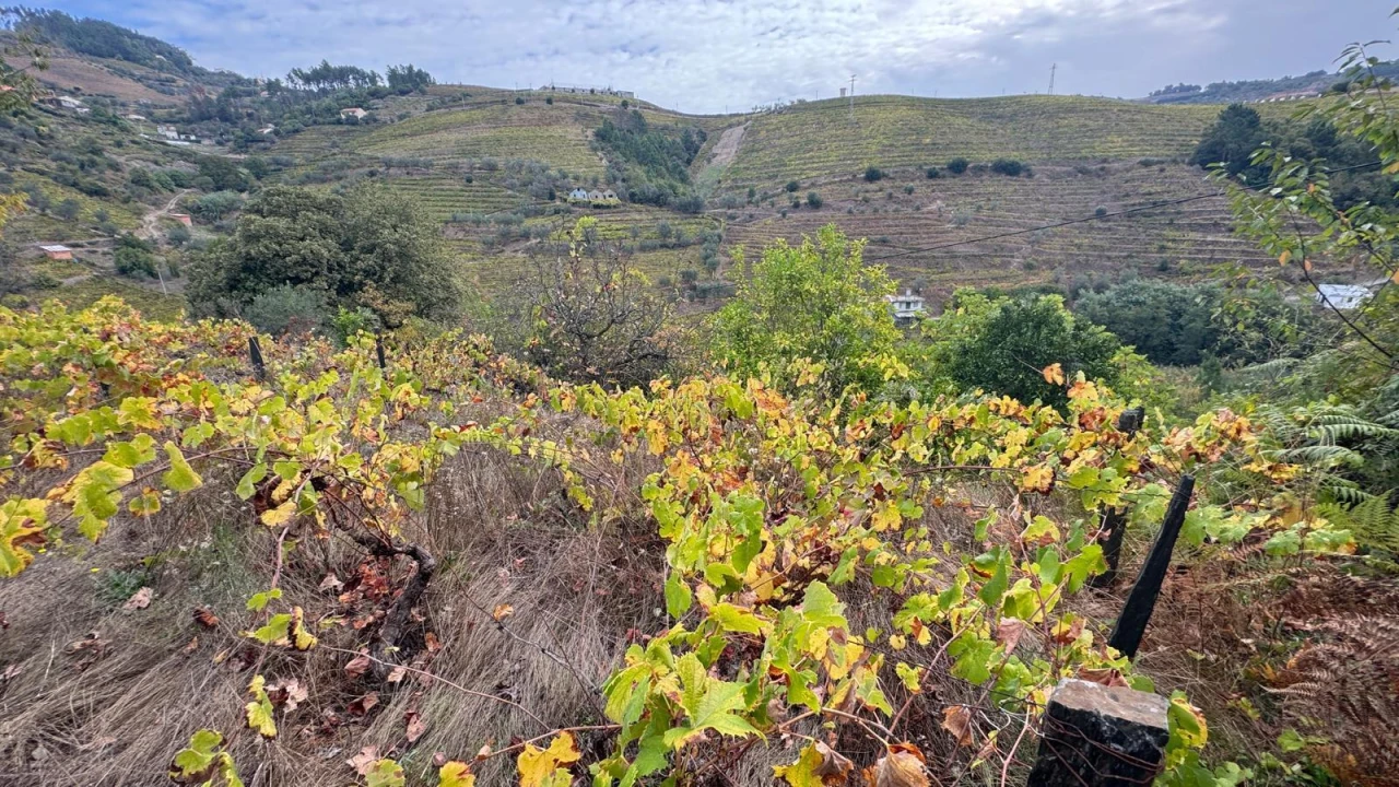 Moradia T3 para Venda em Sedielos Foto 12