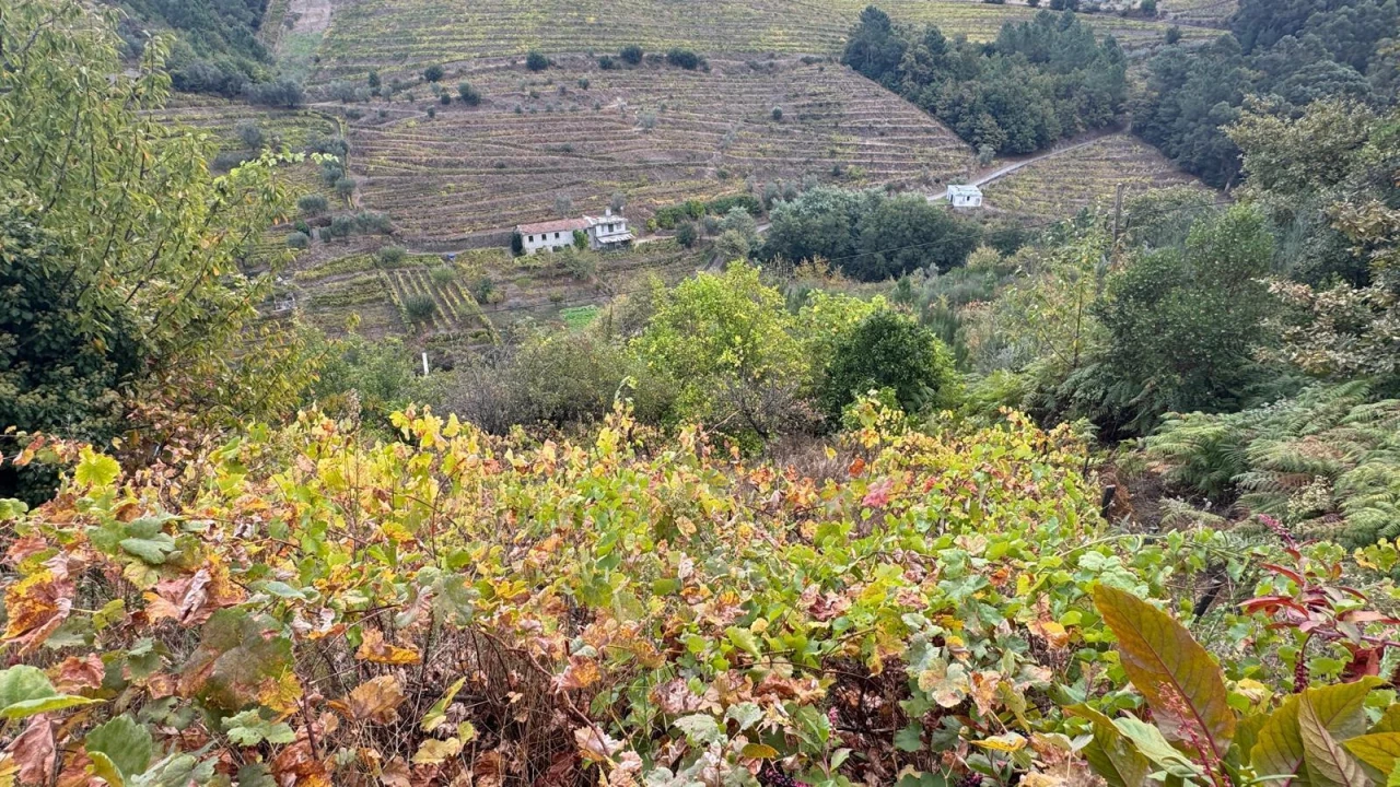 Moradia T3 para Venda em Sedielos Foto 10