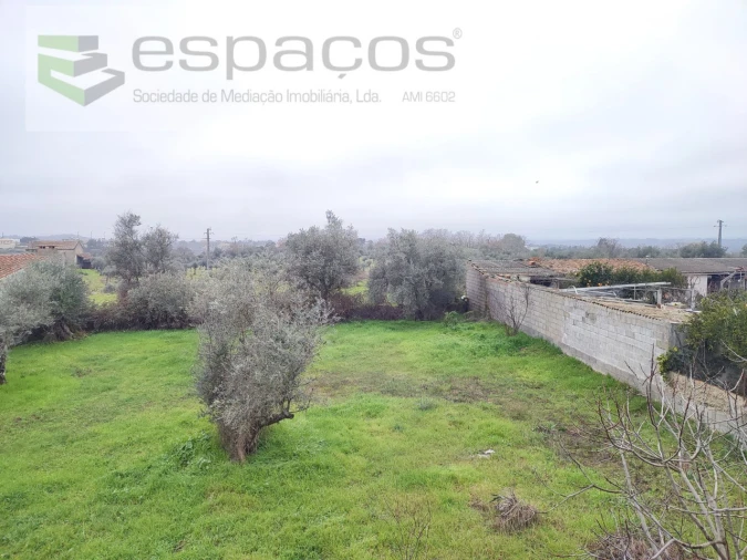 Moradia T3 para Venda em Castelo Branco Foto 13