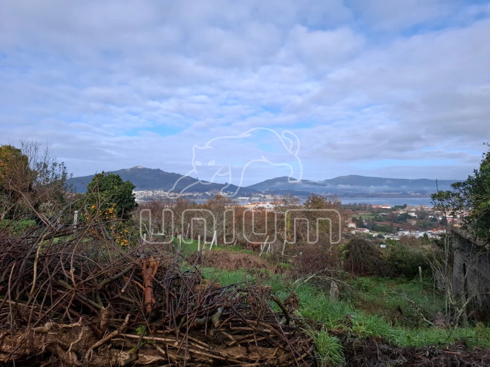 Terreno para Venda em Caminha (Matriz) e Vilarelho Foto 9