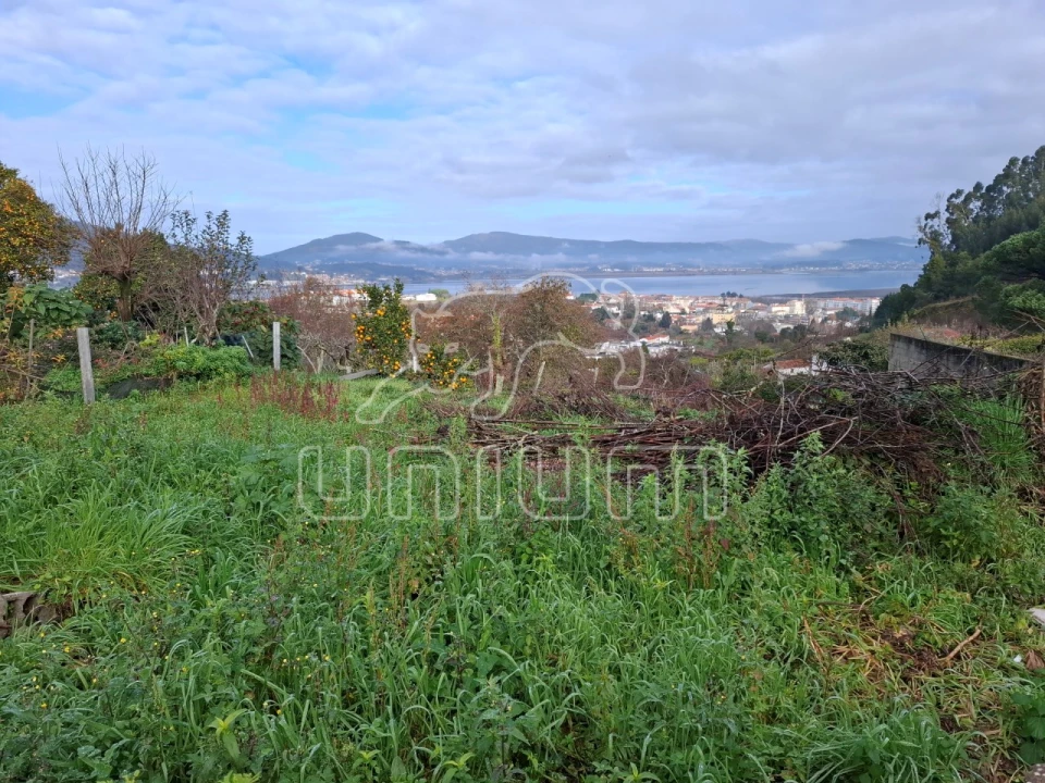Terreno para Venda em Caminha (Matriz) e Vilarelho Foto 11