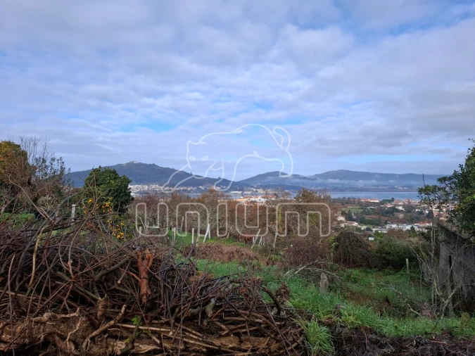 Terreno para Venda em Caminha (Matriz) e Vilarelho Foto 9
