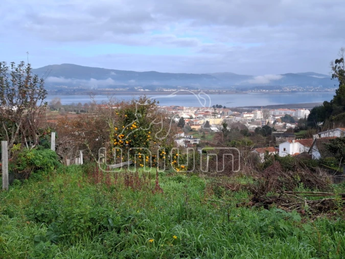 Terreno para Venda em Caminha (Matriz) e Vilarelho Foto 10