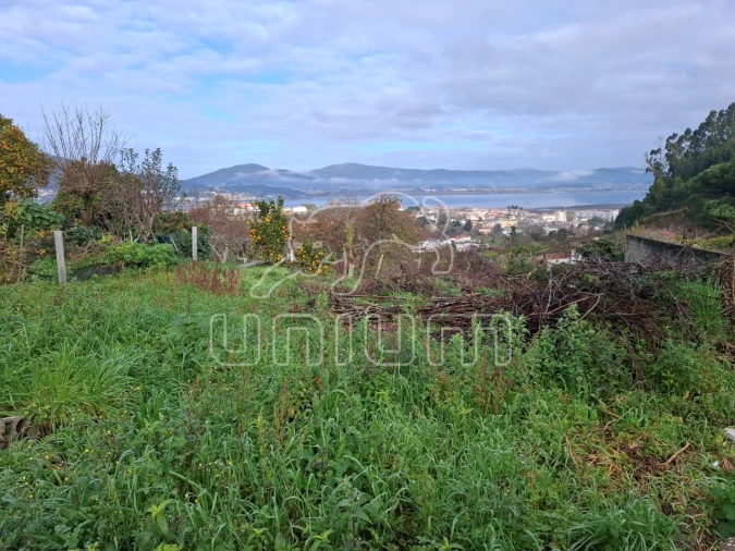 Terreno para Venda em Caminha (Matriz) e Vilarelho Foto 11