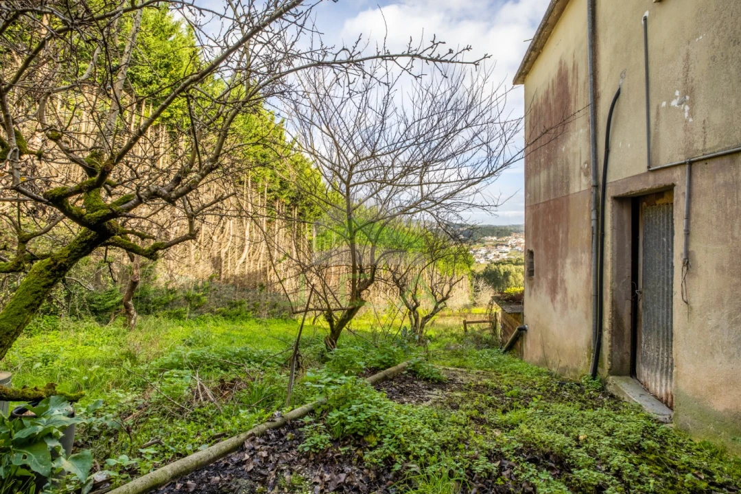 Moradia T3 para Venda em Leiria, Pousos, Barreira e Cortes Foto 19