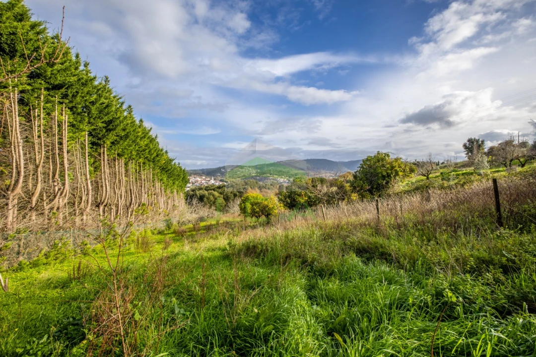 Moradia T3 para Venda em Leiria, Pousos, Barreira e Cortes Foto 20