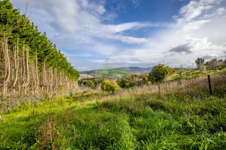 Moradia T3 para Venda em Leiria, Pousos, Barreira e Cortes Foto 20