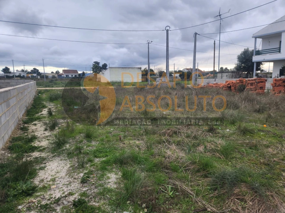 Terreno Agricola ou Rústico para Venda em Quinta do Anjo Foto 1